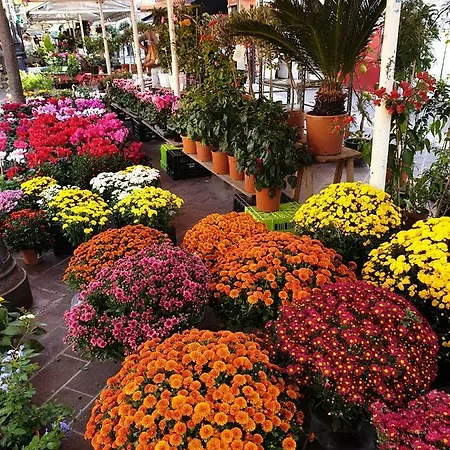 Apartman Le Valmont Menton