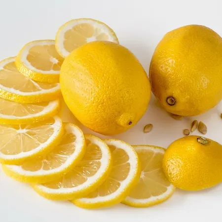Appartamento Le Valmont Mentone
